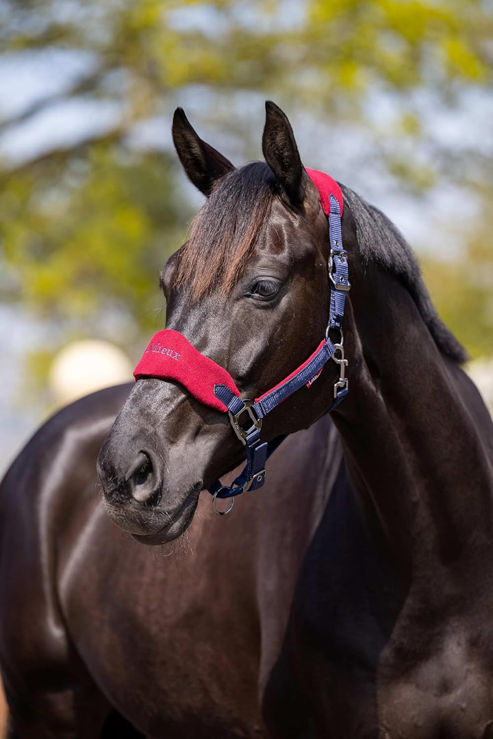 LeMieux Vogue Fleece Headcollar and Leadrope Halfter, Cob Burgunderrot/Marineblau