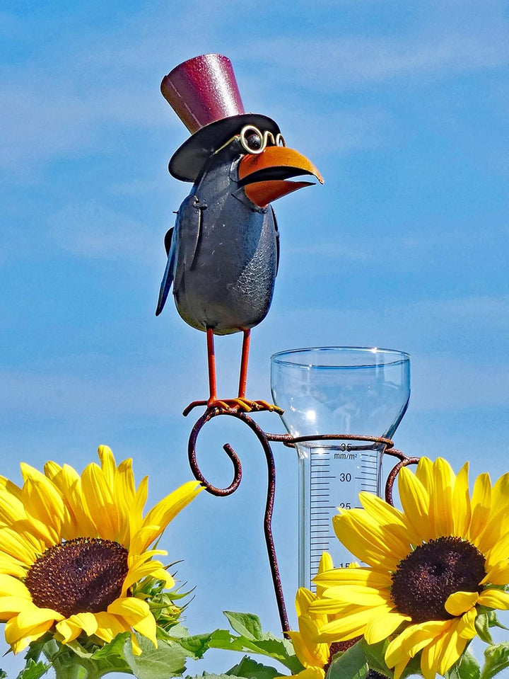 Pommerntraum ® | Regenmesser Pluviometer Niederschlagsmesser Herr Prof. Dr. Rabe verrückter Vogel mi