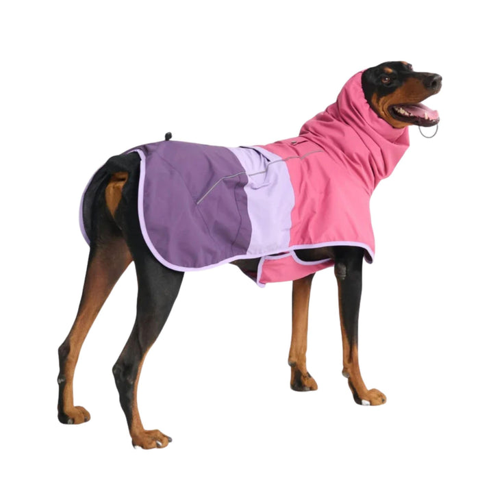 Spark Paws Hunderegenmantel, wasserdichte, Winddichte Regenjacke, für kleine, mittelgrosse, grosse u
