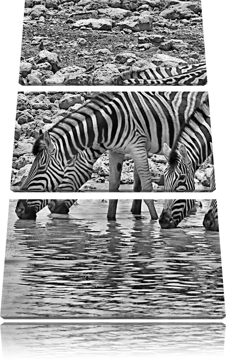 Pixxprint Zebraherde am Wasserloch als Leinwandbild/Grösse: 3 Teilig (120x80) cm/Wandbild/Kunstdruck
