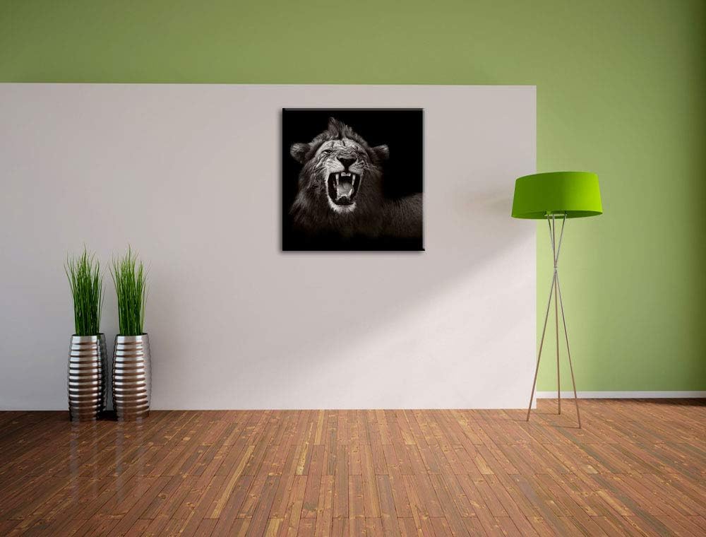 Pixxprint Dark Brüllender Löwe als Leinwandbild/Grösse: 70x70 cm/Wandbild/Kunstdruck/fertig bespannt