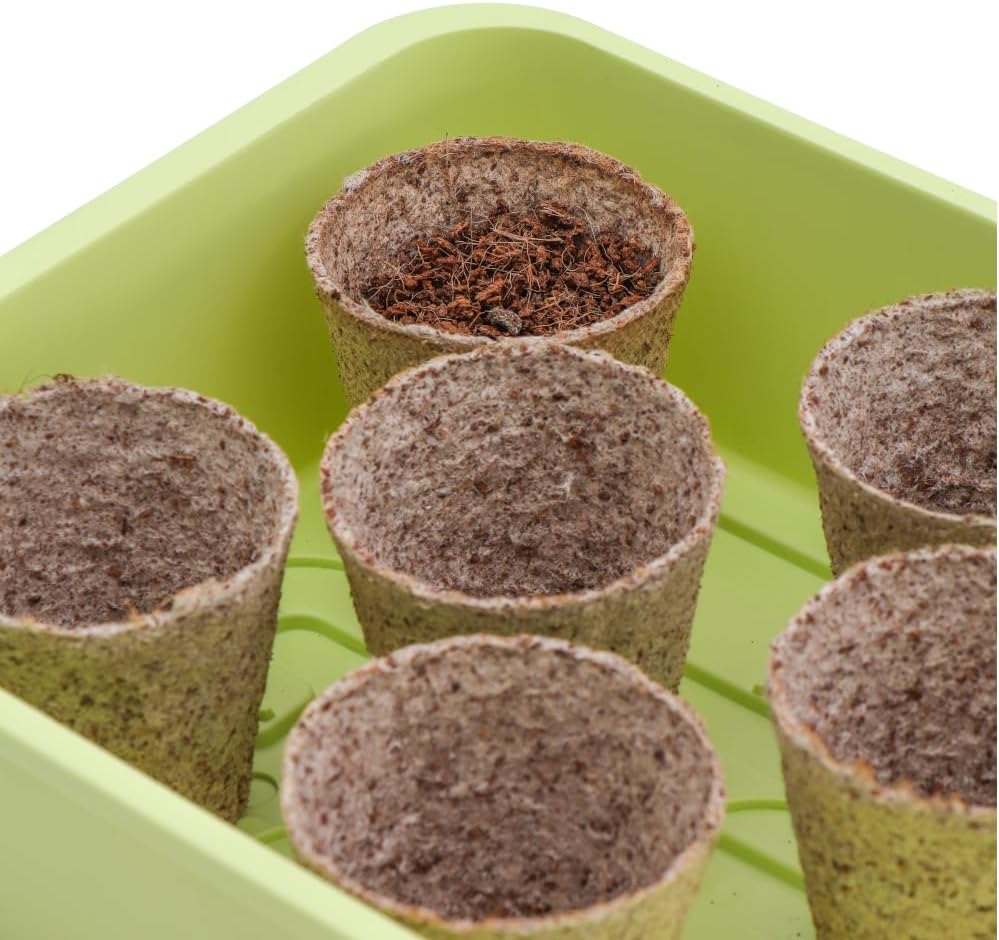 Siena Garden Zimmergewächshaus Maxi-Grow, 54x20x21,5 cm pastellgrün