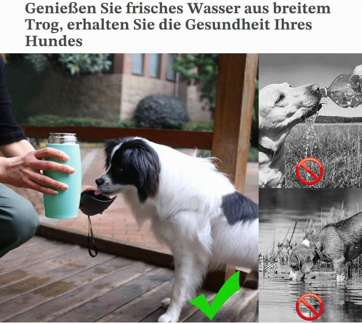 VIVAGLORY Pawhike Hundetrinkflasche, Hunde Trinkflasche für Unterwegs, Hundetrinkflasche, Edelstahl