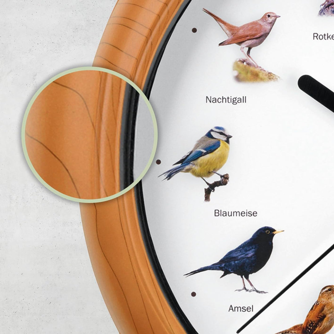 EASYmaxx Wanduhr mit 12 Singvogelgesang mit naturgetreuen Vogelmotiven | Automatische Abschaltung zw