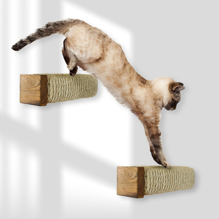 Rohrschneider Katzentreppe für Katzenwand | Kletterwand Katzen Holz GEFLAMMT | Wandelemente | Kratzs