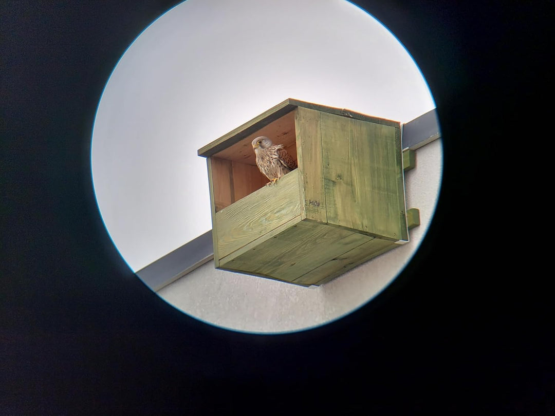 Vogelhaus - Nistkasten Für Turmfalken MKW - Stabiler nisthaus für Wildvögel und Gartenvögel - Nistha