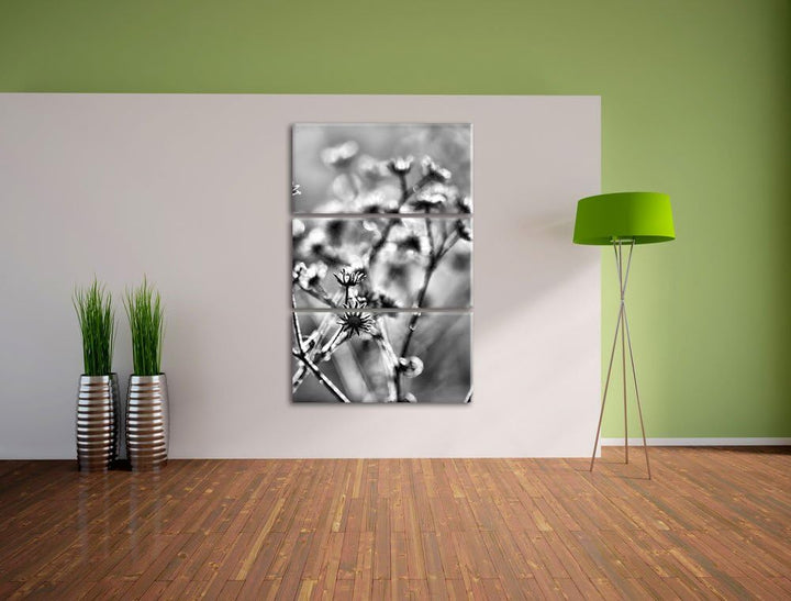 Pixxprint Monocrome, Pflanzen im Frost 3-Teiler Leinwandbild 120x80 Bild auf Leinwand