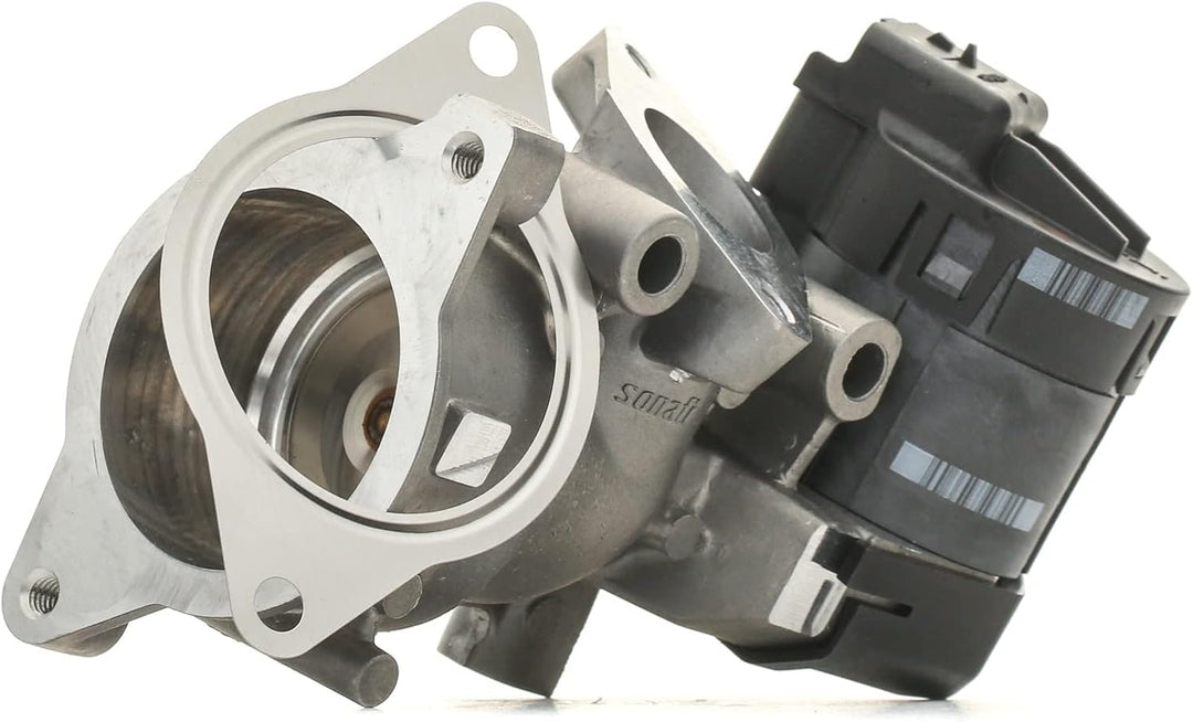 Delphi EG10396-12B1 Agr-Ventil