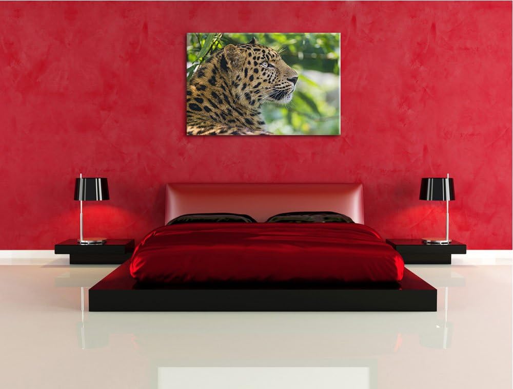 Pixxprint prächtiger Leopard im Schatten auf Leinwand, XXL riesige Bilder fertig gerahmt mit Keilrah