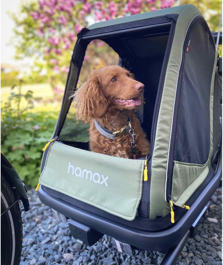 Hamax Pluto Hundeanhänger M grün, M grün