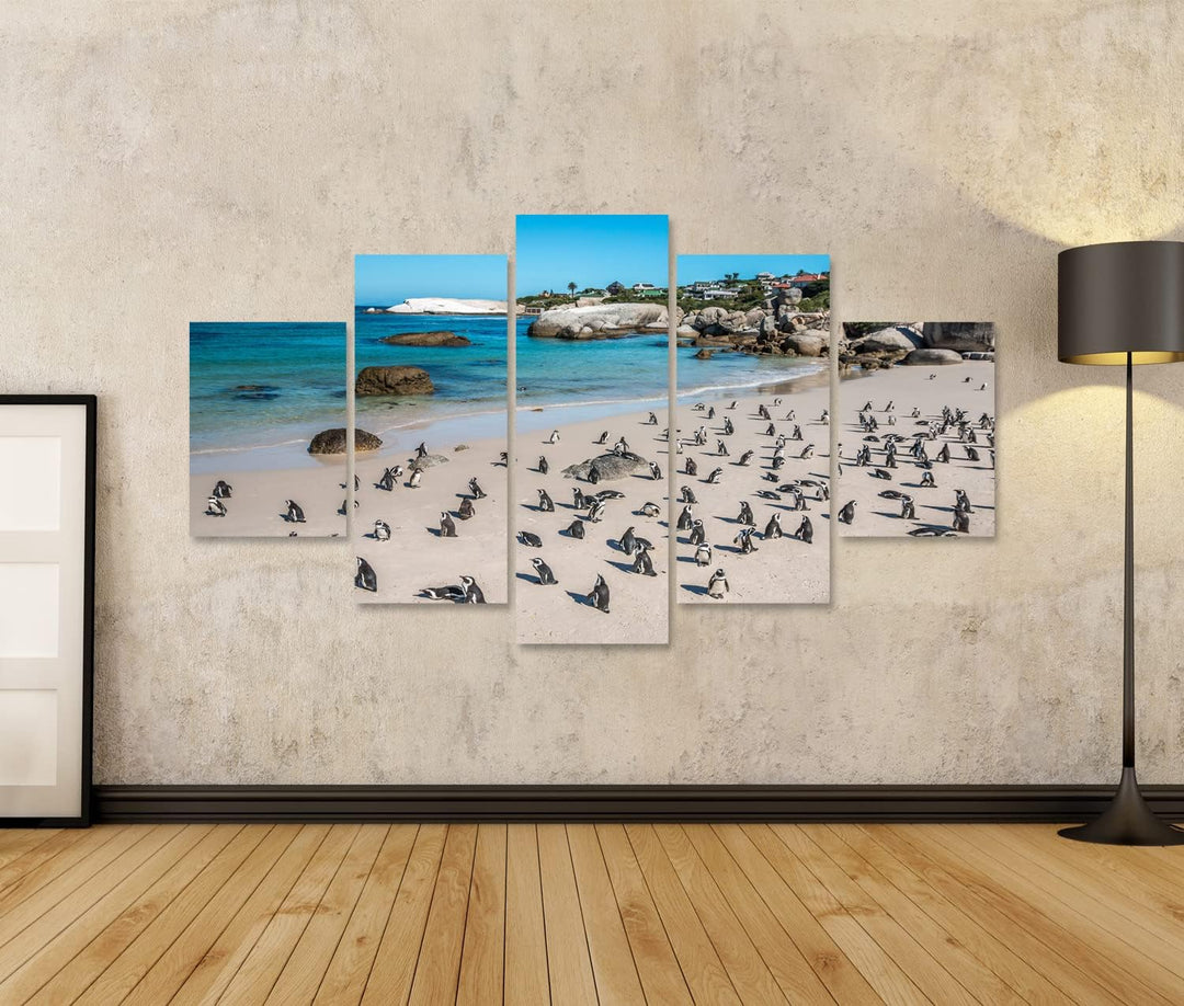 islandburner Bild auf Leinwand Pinguine Kapstadt Südafrika Afrikanischer Strand Bilder Wandbilder Po
