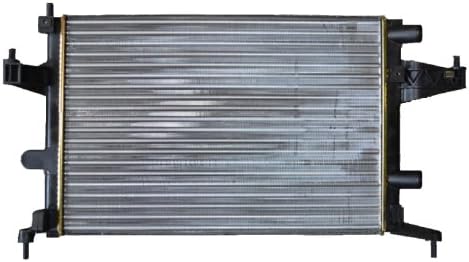 NRF 509596 Kühler, Motorkühlung