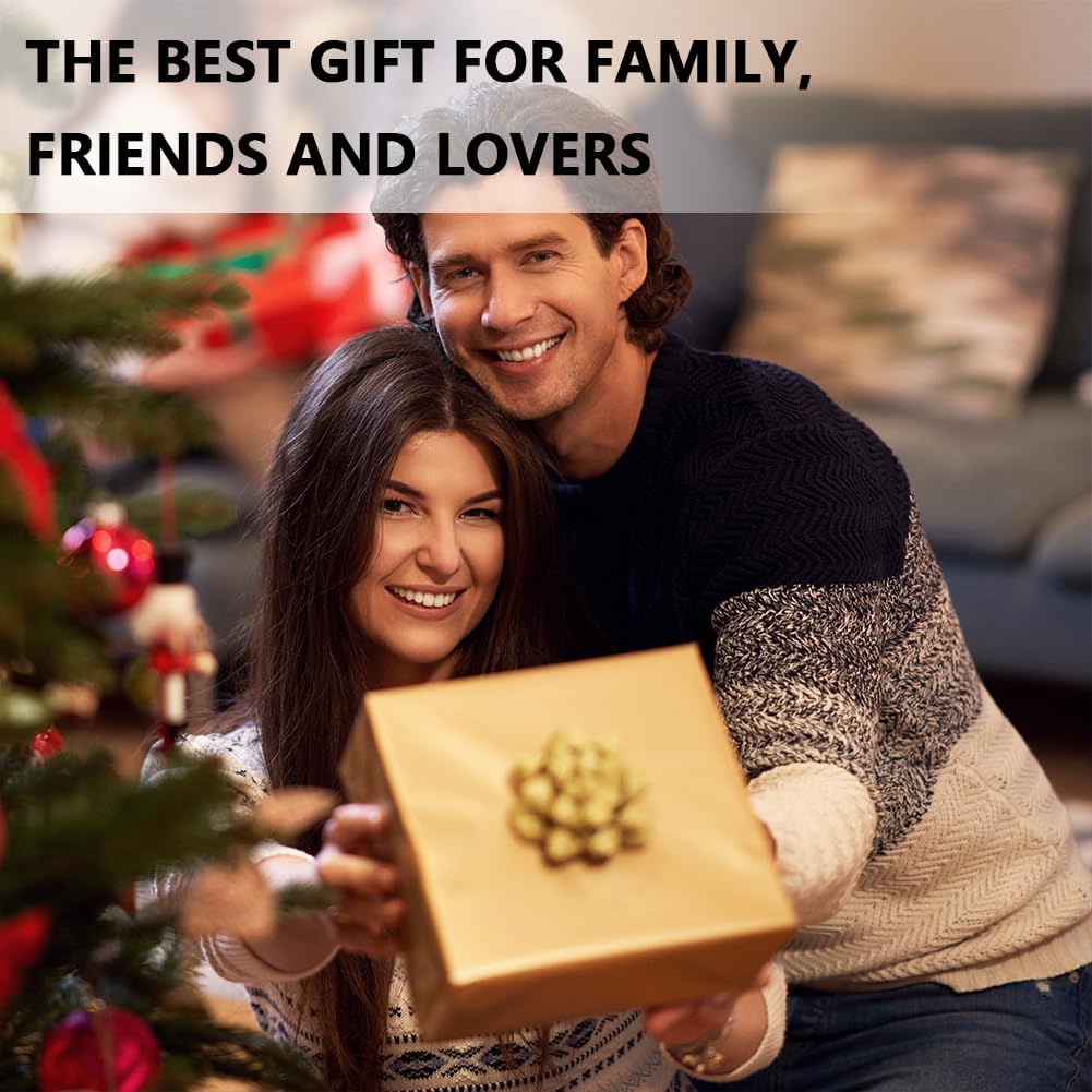 flintronic Dart Taschen Organiser, Doppelseitige Dartbox, Harte Eva Dartpfeiletui, für 12 Stahlspitz