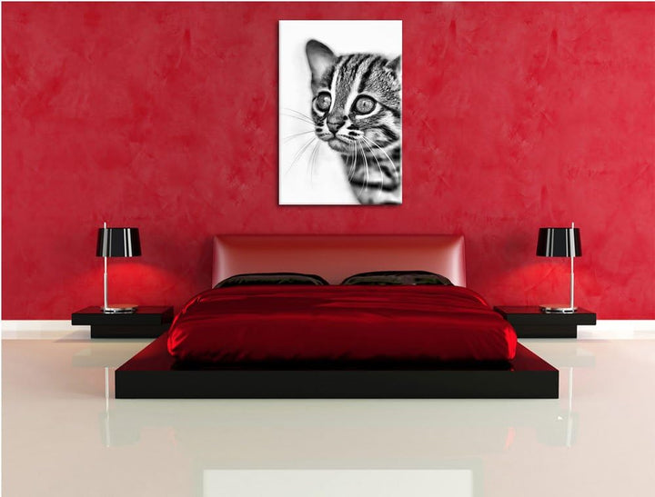 Pixxprint Monocrome, Junge Marmorkatze, Format: 100x70 auf Leinwand, 100x70