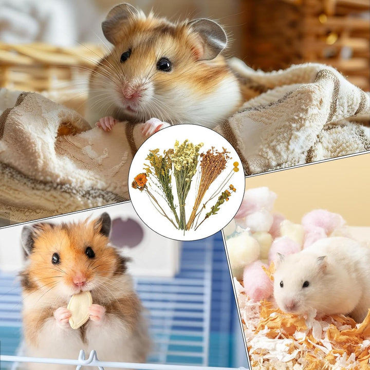 Trockenblumen-Bettwäsche für Hamster, natürliche Hamster-Bettwäsche, Kleintierblumen, Lebensraum-, L