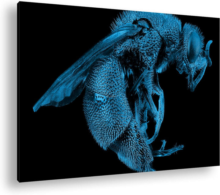 deyoli Dark gigantische Blaue Biene Format 80x60 Effekt: Monocrome Blau als Leinwandbild, Motiv fert