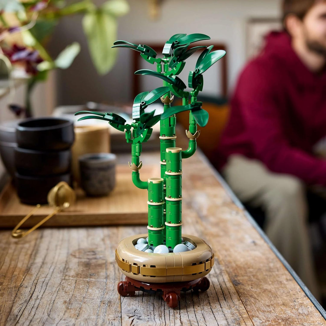 LEGO Botanicals Glücks-Bambus, Kunstpflanze - Bauset für Erwachsene - Geschenk für Einweihungspartys