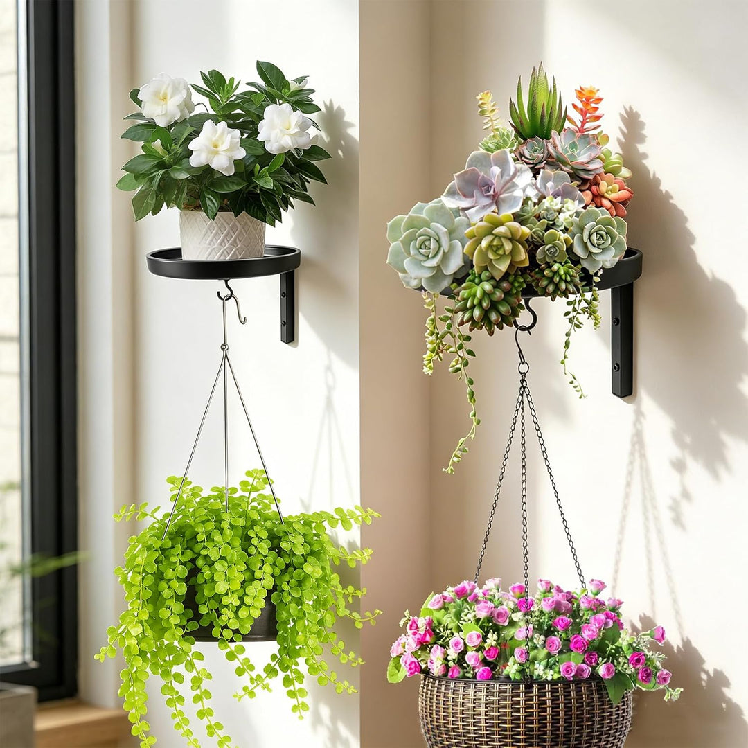 2 Stück Pflanzenständer Pflanzenregal, 20cm Blumenständer Metall Schwarz Wand mit Haken Pflanzenrega