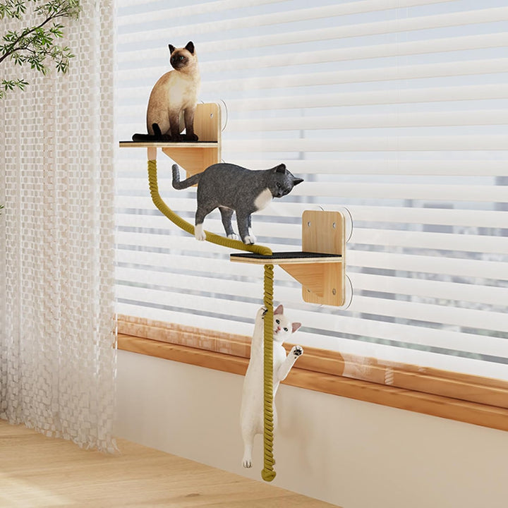 Wandregal für Katzen – Kletterwand für den Innenbereich mit Kratzbrett, Treppen und Spielzeug in Tur