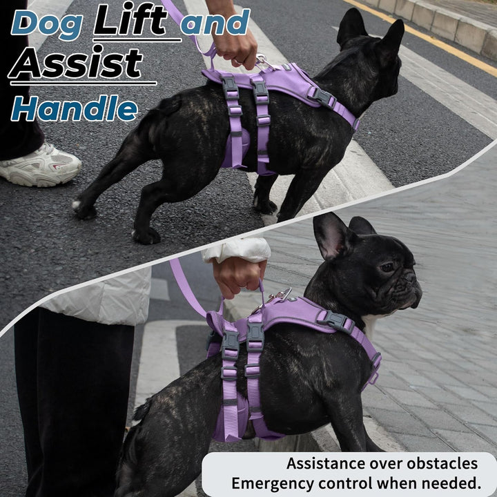 Wuffley Hundegeschirr mit Leine, Sicherheitsgeschirr Hund Ausbruchsicher, Anti Zug Hundegeschirr mit