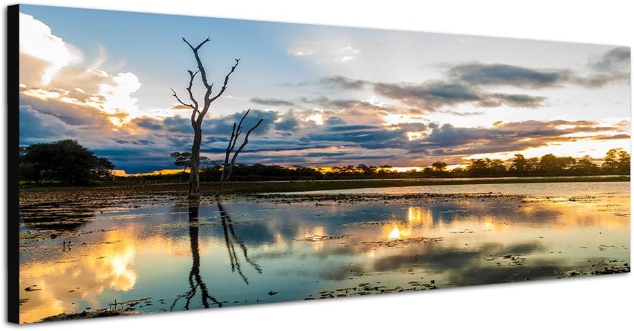 Paul Sinus Art Panoramabild auf Leinwand und Keilrahmen 120x40cm Brasilien Fluss Wolkenhimmel Sonnen