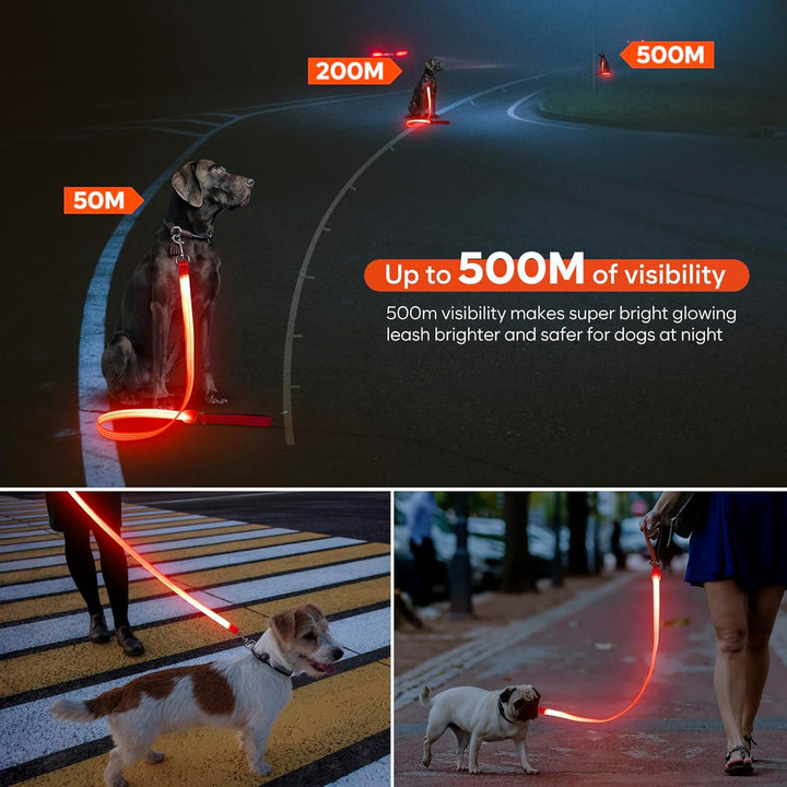 ChalkLit LED Hundeleine, Beleuchtete Hundeleine über USB Wiederaufladbar, 1,2 m, Weich Wasserdicht R