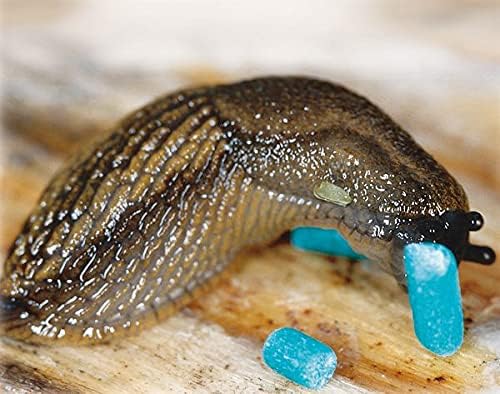 Neudorff Ferramol® Schneckenkorn 6 kg - wirkt gegen Nacktschnecken an Gemüse, Erdbeeren und Zierpfla