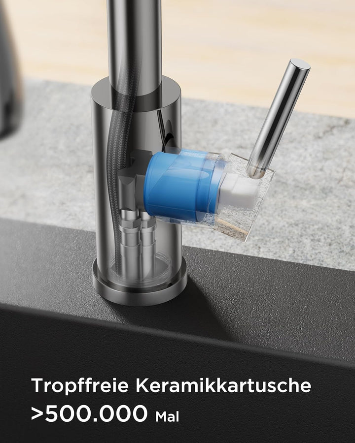 FORIOUS Wasserhahn Küche, Küchenarmatur Ausziehbar, Spültischarmatur Küche mit 5 Sprühmodi, Edelstah