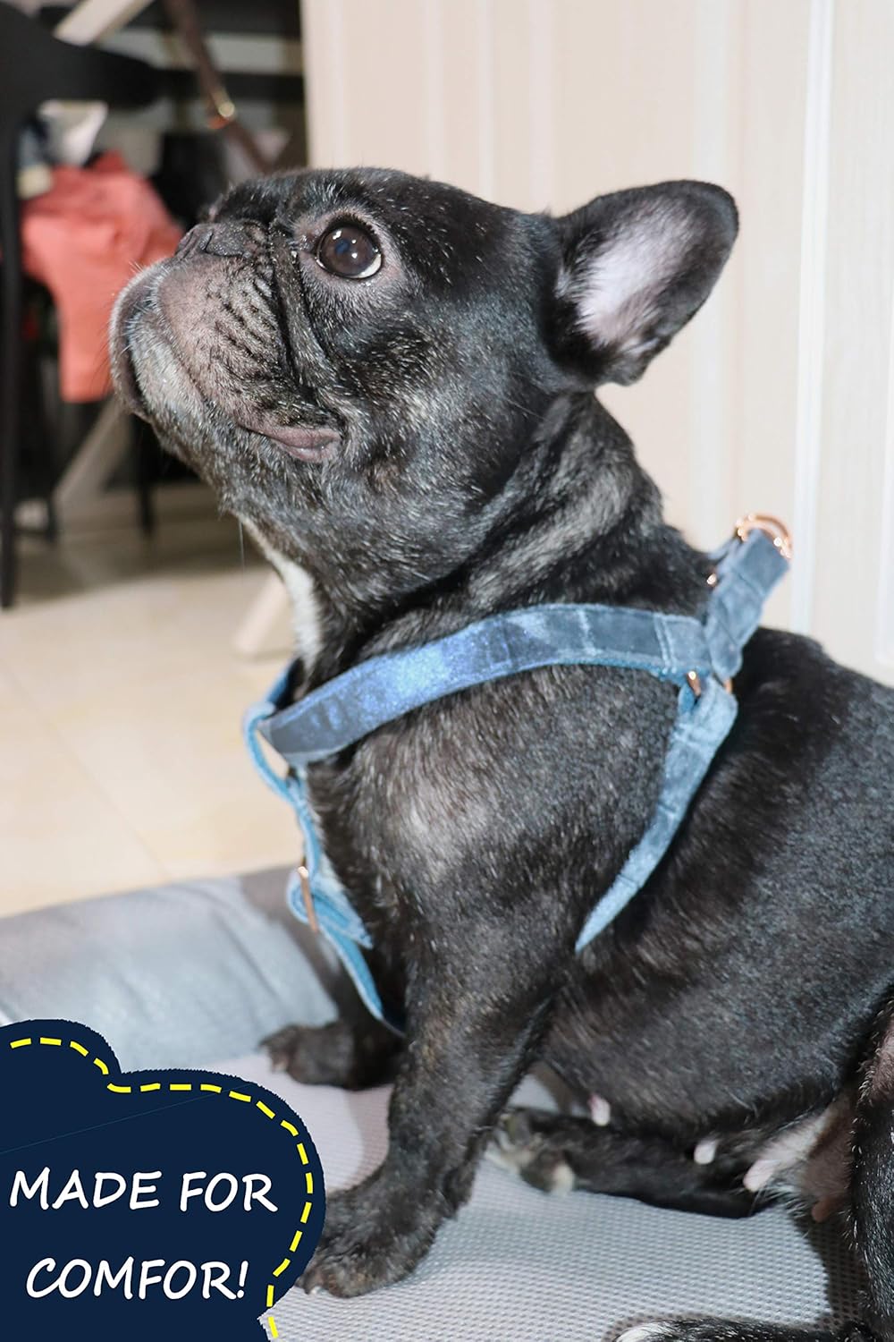 ARING PET Hundehalfter Geschirr, Samt kein Ziehen Hundehalfter Geschirr, einstellbare schwere Hundeg