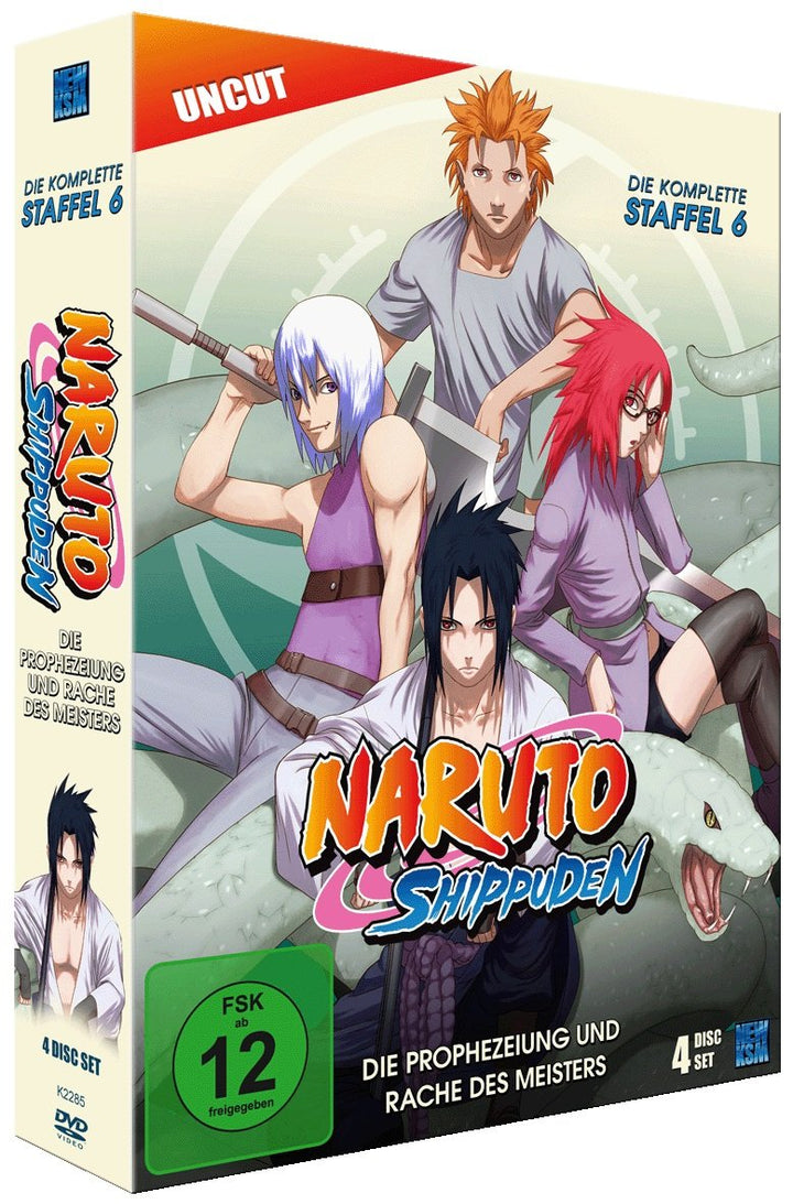 Naruto Shippuden, Staffel 6: Die Prophezeiung und Rache des Meisters (Episoden 333-363, uncut) [4 DV