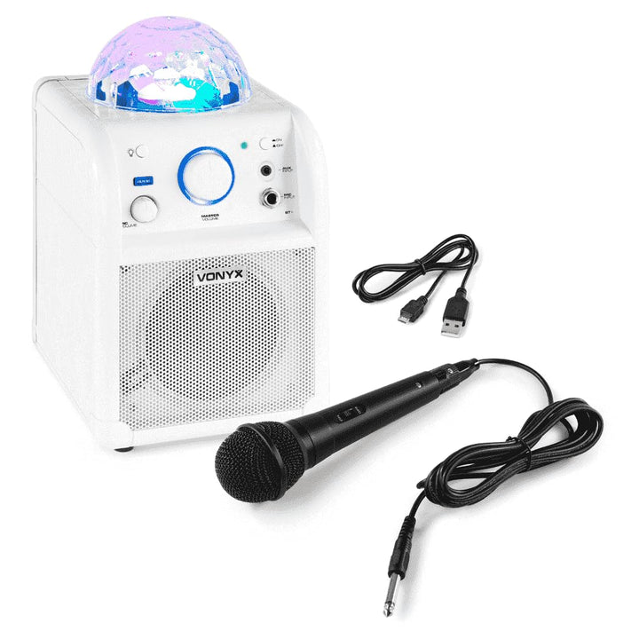 Vonyx SBS50W Karaoke Maschine Kinder – Tragbare Karaoke Anlage mit Akku, inkl. Mikrofon &amp; LED-Lichte