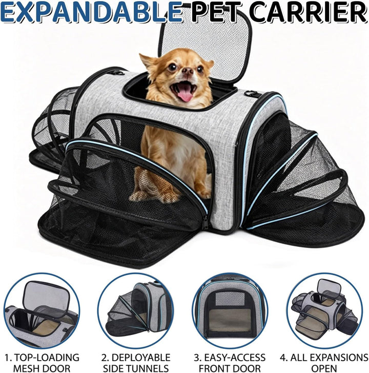 Faltbarer Transporttasche Katze und Hund,erweiterbare Katzentransportbox mit Schultergurt Hundetrage