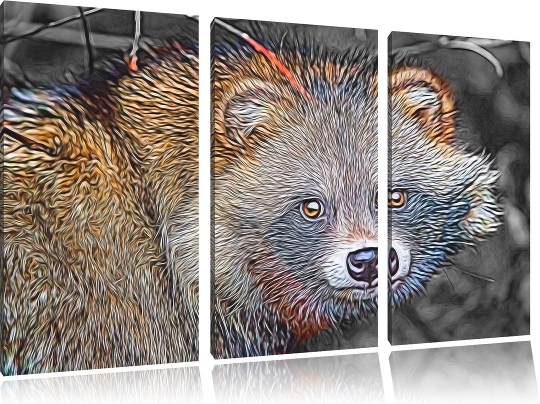 süsser Waschbär schwarz/weiss Deluxe 3-Teiler Leinwandbild 120x80 Bild auf Leinwand, XXL riesige Bil
