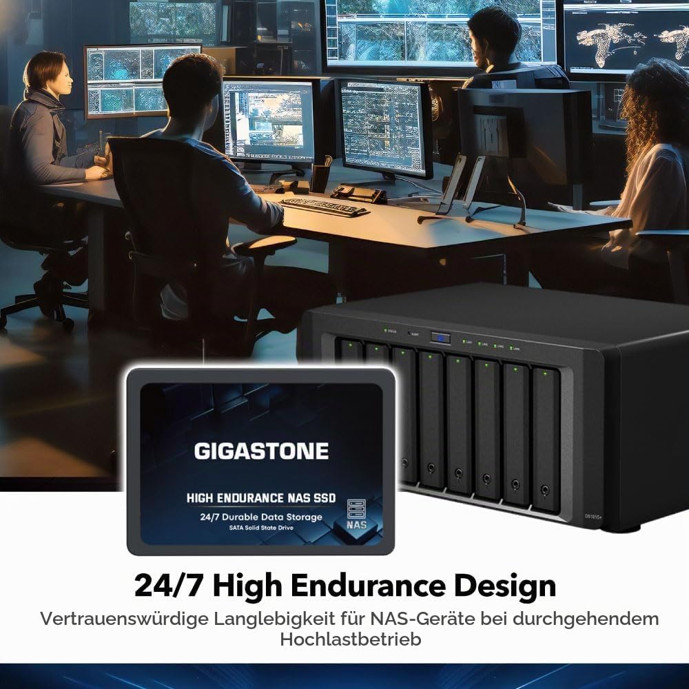 Gigastone Enterprise SSD 2TB NAS SSD Drive Cache 24/7 High Endurance Business Server Creative Profes