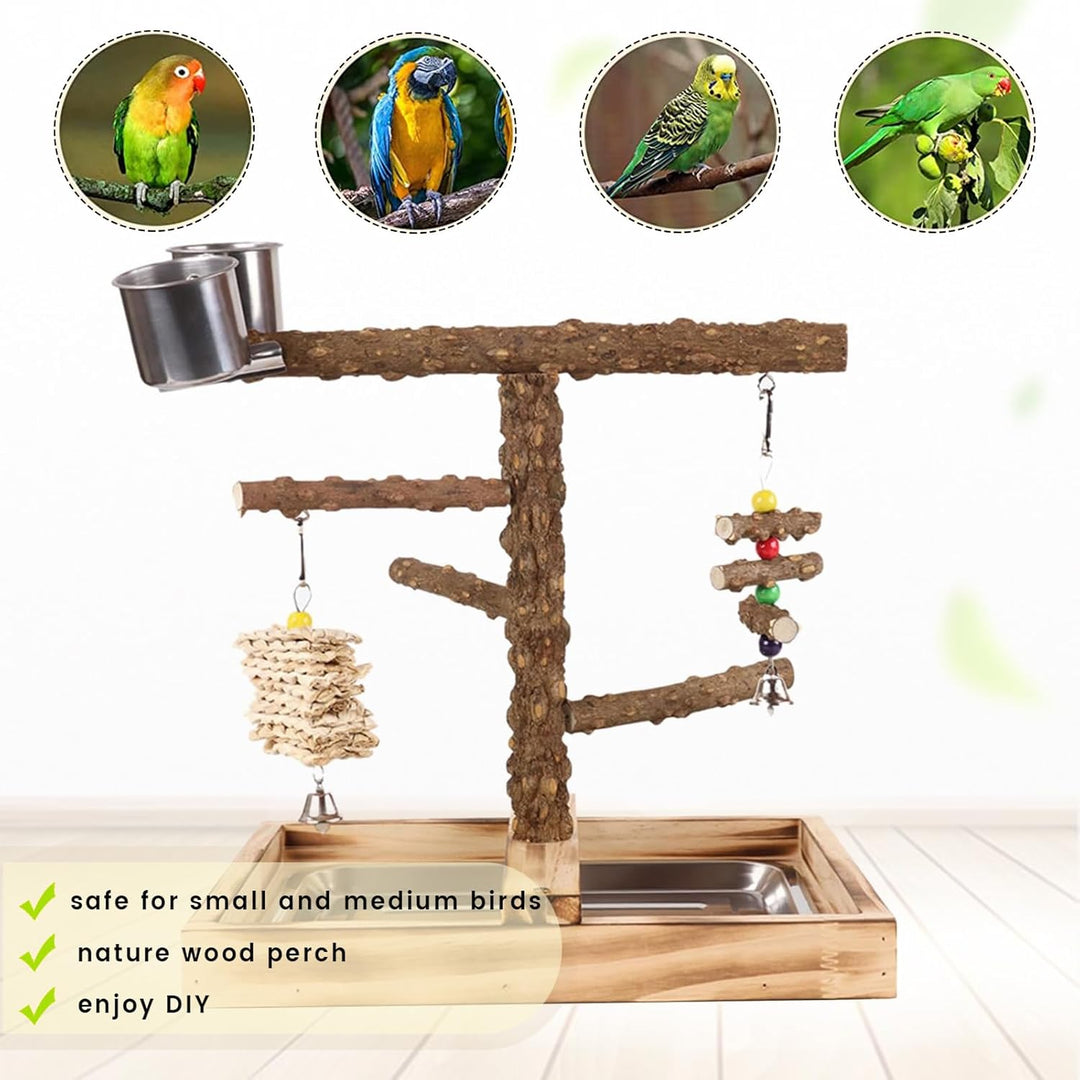 WishesMar Wellensittich Spielplatz Vogel-Spielplatz mit Feeder-Cup Spielzeug Leiter Erklimmen und Ta
