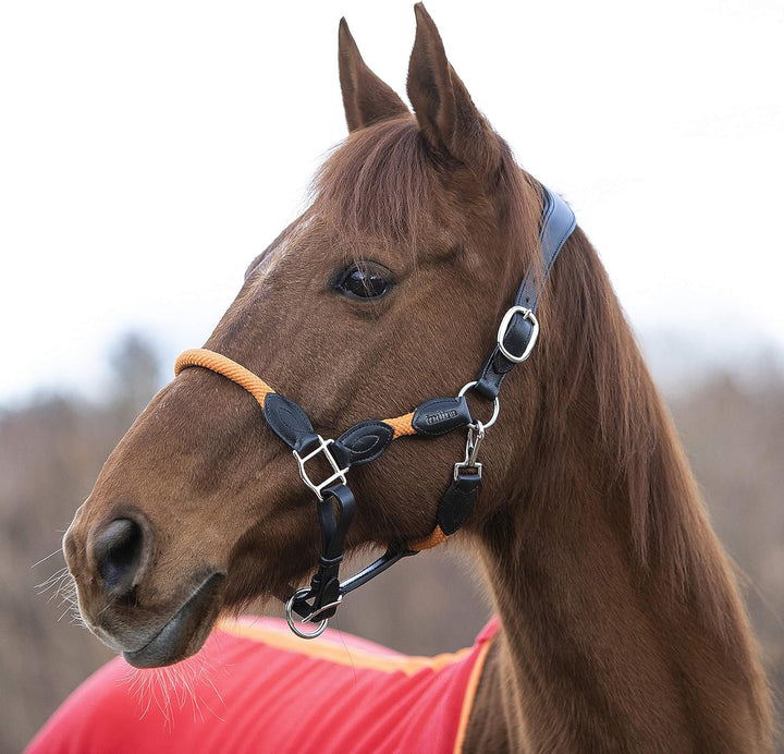 indira Seil-Leder-Halfter pro Flex PP-Strick-Echtleder (Pony, Orange 01) Pony Orange 01, Pony Orange