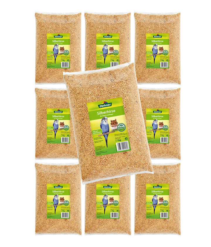 Dehner Vogel- und Nagerfuttersnack, Silberhirse, 10 x 1 kg (10 kg) Silberhirse 1 kg (10er Pack), Sil