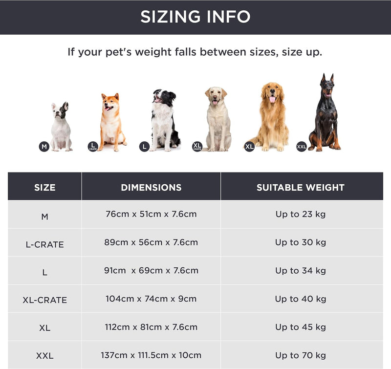 Bedsure orthopädisches Hundebett Grosse Hunde - 112x81x7.6cm Hundekissen flauschig Hundematte waschb