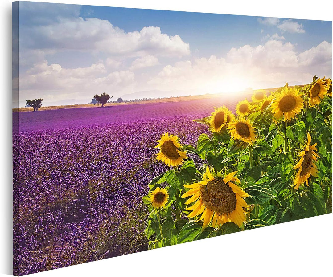 islandburner Bild auf Leinwand Lavendel Sonnenblumen Felder Provence Bilder Wandbilder Poster, 80L x