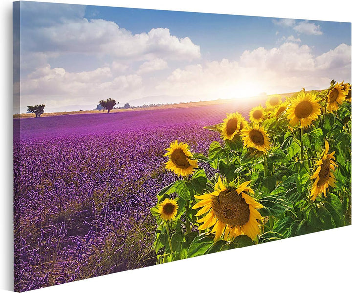 islandburner Bild auf Leinwand Lavendel Sonnenblumen Felder Provence Bilder Wandbilder Poster, 80L x
