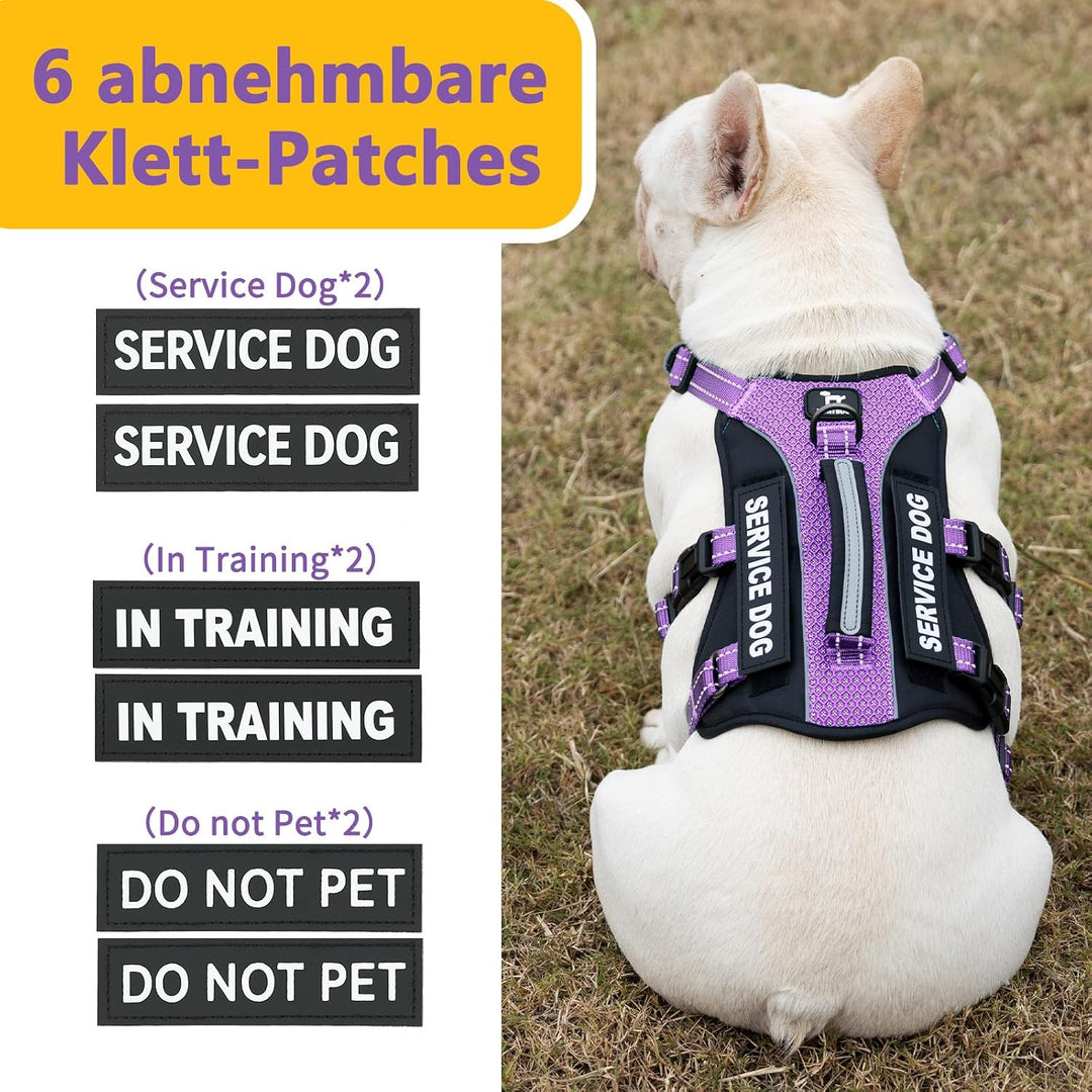 Huntboo Hundegeschirr Mittelgrosse Hunde, Sicherheitsgeschirr Hund Ausbruchsicher mit 6 Patches, Ser