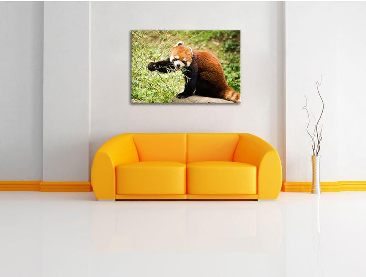 Niedlicher roter Panda, Format: 100x70 auf Leinwand, XXL riesige Bilder fertig gerahmt mit Keilrahme