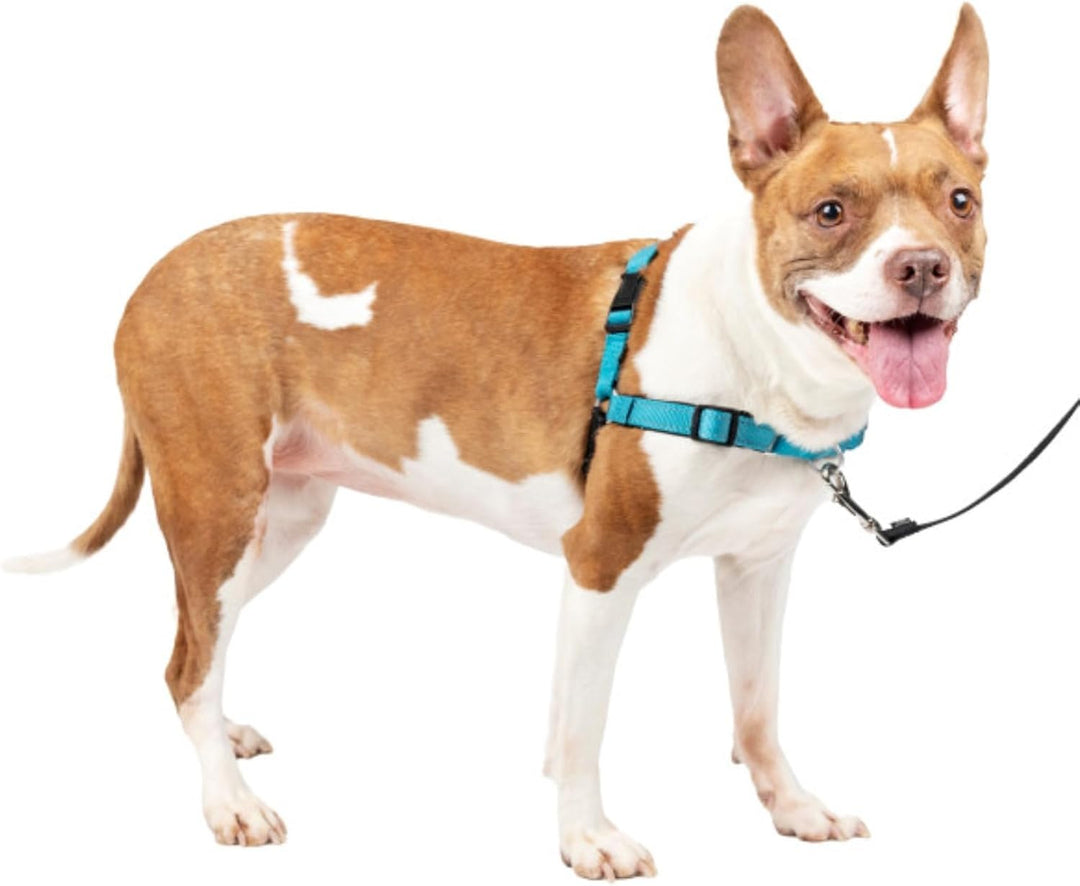 PetSafe Easy Walk Deluxe Geschirr, Gehgeschirr ohne Zug für Hunde, gepolstertes Design, inkl. 1,8 m