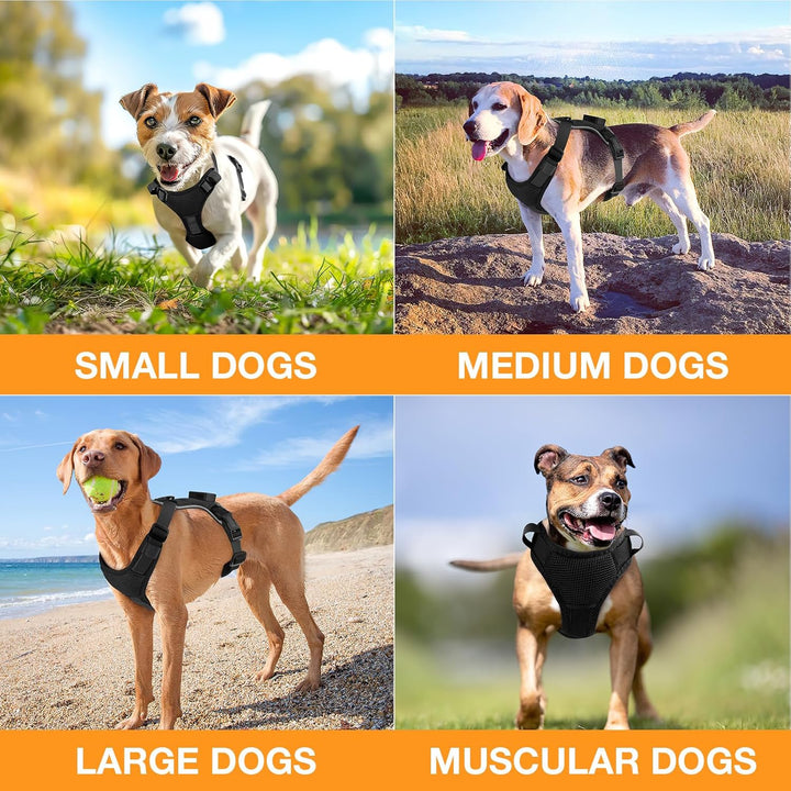 Feycig Hundegeschirr Leuchtend für Grosse Hunde - LED Hundegeschirr Aufladbar Einstellbar Reflektier
