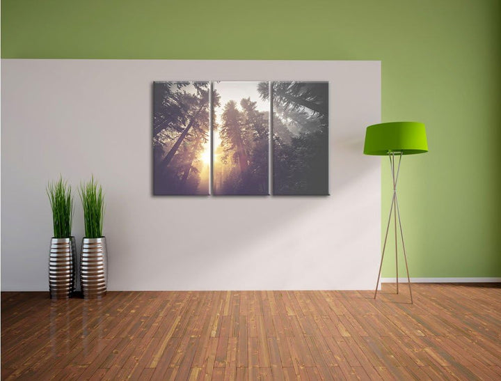Pixxprint Blick in die Baumwipfel als Leinwandbild/Grösse: 3 Teilig (120x80) cm/Wandbild/Kunstdruck/