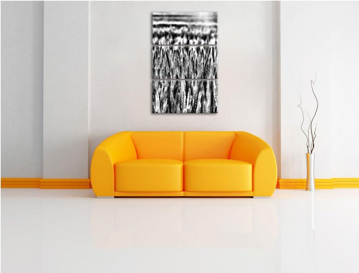 Pixxprint Getreidefeld als Leinwandbild/Grösse: 3 Teilig (120x80) cm/Wandbild/Kunstdruck/fertig besp