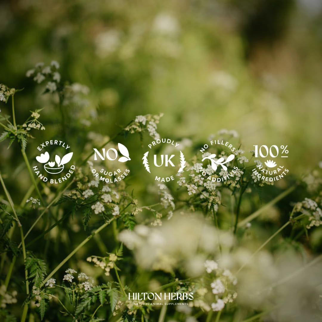 Hilton Herbs 0630447611004 Cush X Gold for Horses - 1 l 1 litre, 1 litre