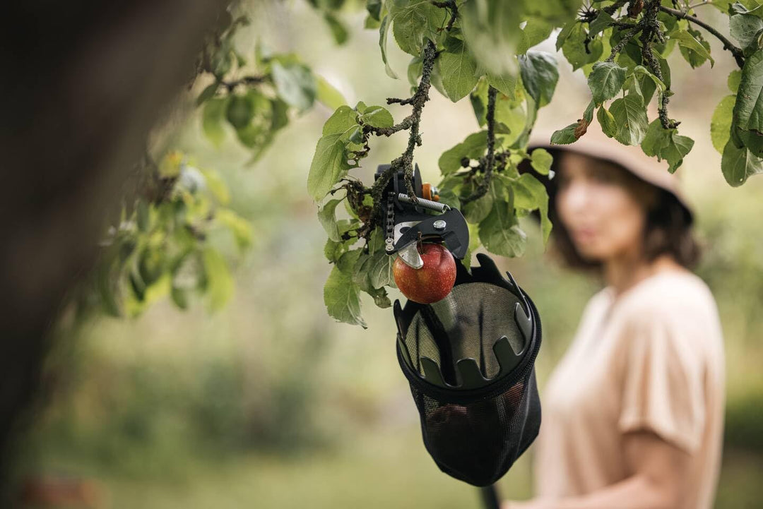 Fiskars Obstpflücker für Schneidgiraffe UPX82, UPX86, UP82, UP84, UP86, Nur Gerätekopf, L x B x H: 2