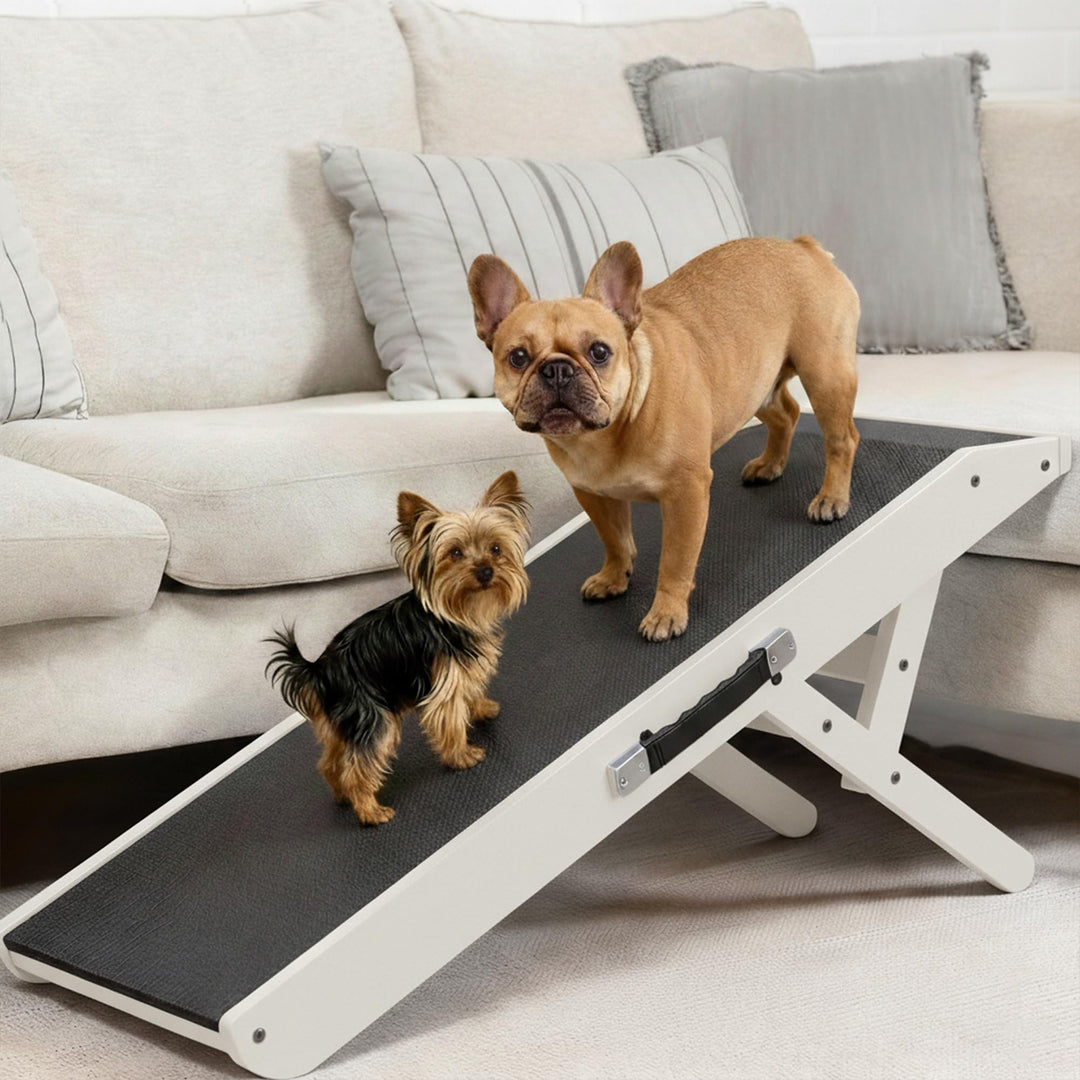 Hunderampe - Hundetreppe für kleine Hunde und grosse Hunde - Einstellbar 18-53 cm - Für Bett, Sofa -