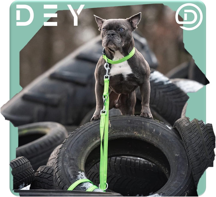 DEY - Premium Hundeleine Nylon 2m | Reflektierend | 3fach Verstellbar | für Kleine, Mittelgrosse u.